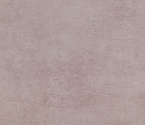 Обои BN International Curious (17932) виниловые на флизе 