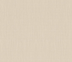 Обои Rasch Barbara Home Collection 527261