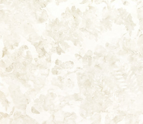 Обои Zoffany Town & Country (310882) бумажные